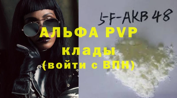 индика Тихвин