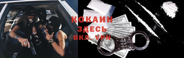 индика Тихвин