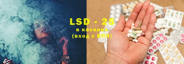 индика Тихвин