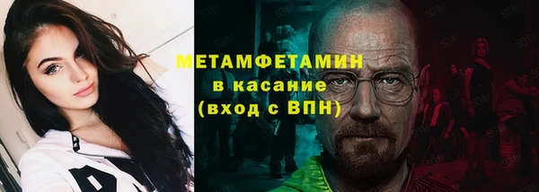 индика Тихвин