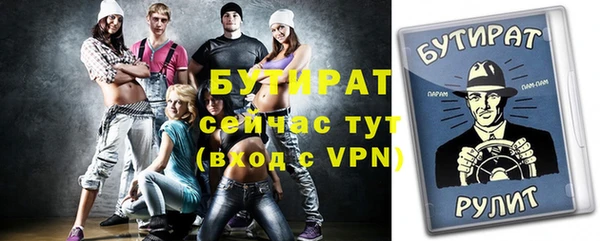индика Тихвин