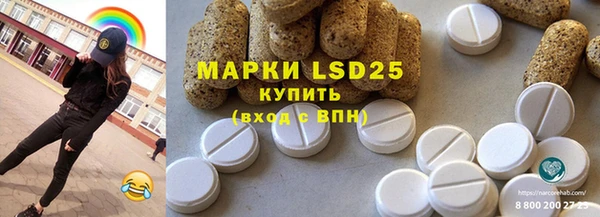 индика Тихвин