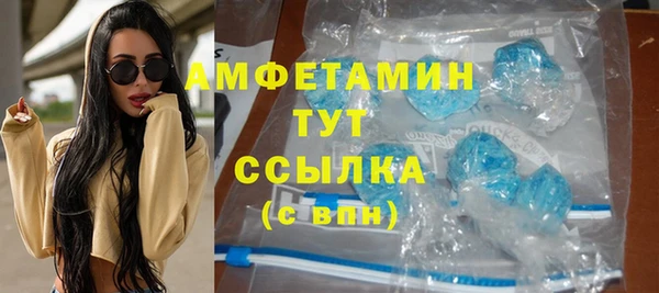 индика Тихвин