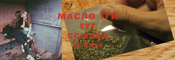 соль ск Тайга