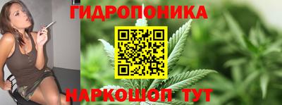 стафф Волгодонск