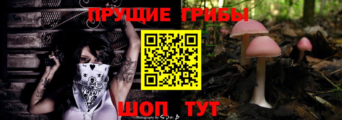 Галлюциногенные грибы прущие грибы Шадринск