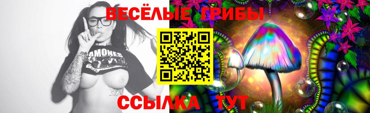 Псилоцибиновые грибы Cubensis  Шадринск  Галлюциногенные грибы GOLDEN TEACHER 